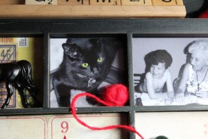 Elphaba with her green eyes Elphaba the cat, her eyes colored green, ready to play with some yarn